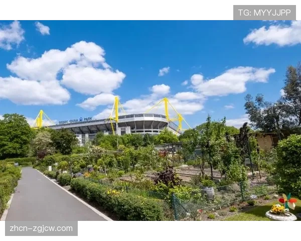 多特蒙德宣布伊杜纳信号公园球场草皮将更换为更适应高速往返的新型草种 多特蒙德宣布伊杜纳信号公园球场草皮将更换为更适应高速往返的新型草种